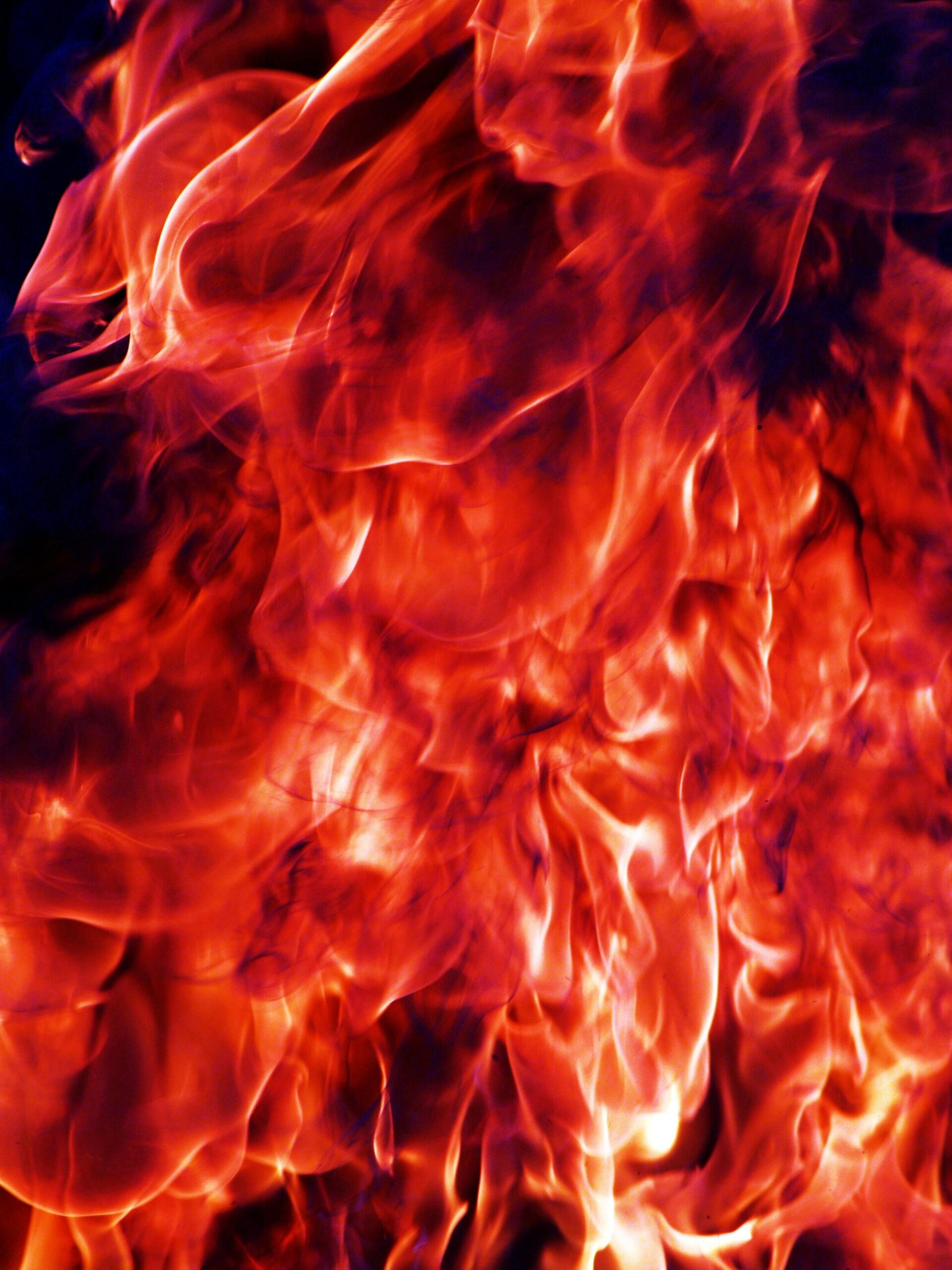 Close-up of vibrant and dynamic flames in rich red and orange colors.